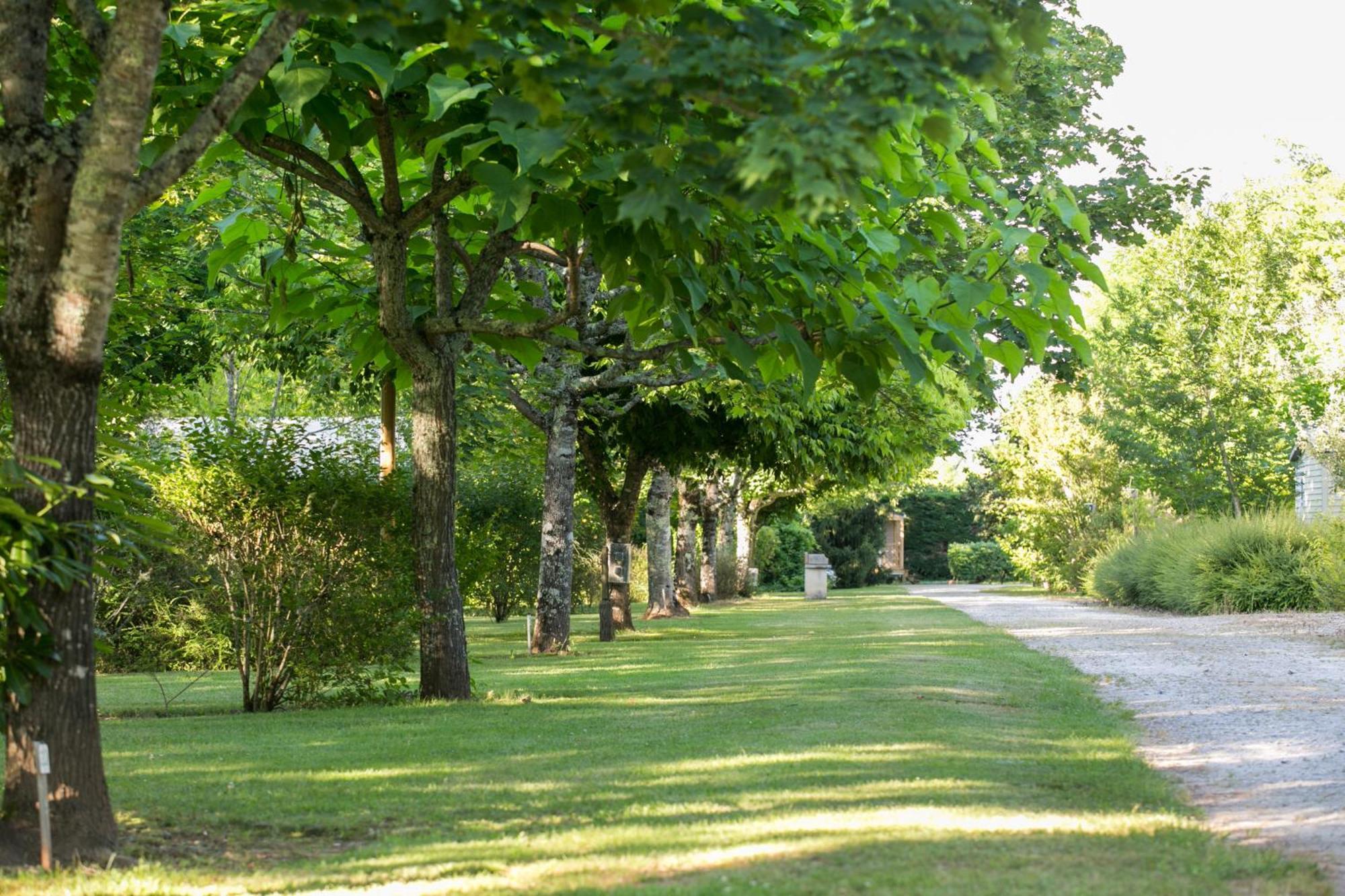 Camping La Ferme De Perdigat Limeuil Exteriér fotografie