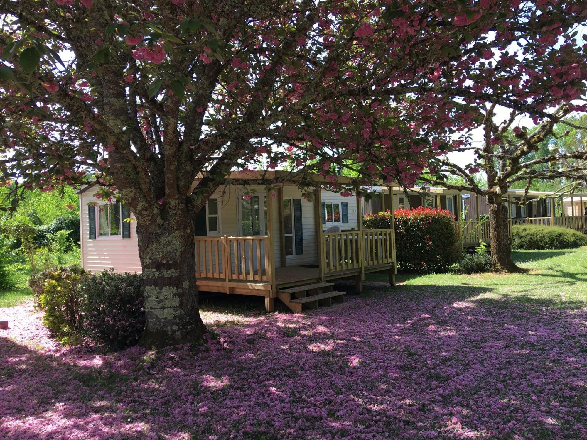 Camping La Ferme De Perdigat Limeuil Exteriér fotografie